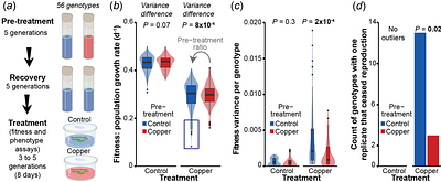 Copper resistance predicts heritable transgenerational fitness variation in the clonal duckweed Spirodela polyrhiza