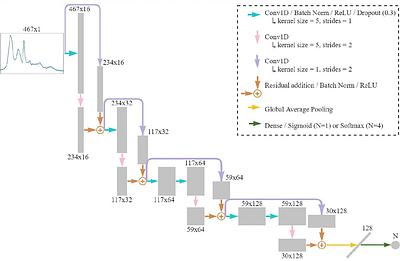 One-dimensional convolutional neural network model for breast cancer
  subtypes classification and biochemical content evaluation using micro-FTIR
  hyperspectral images