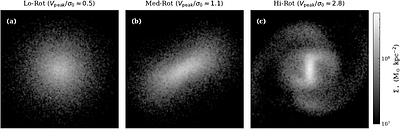 Euclid: Early Release Observations -- The formation of peanutty dwarf galaxies in Perseus