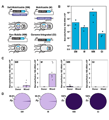 Biocontainment attenuation of mobile DNA host range in a wastewater microbiome