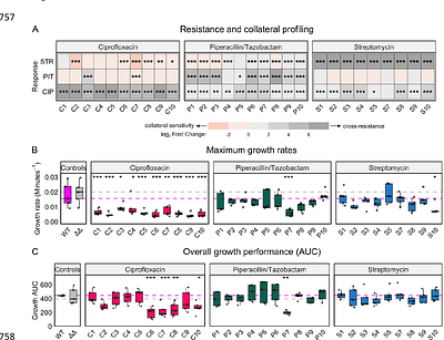 Evolutionary trade-offs between antimicrobial resistance and virulence in Pseudomonas aeruginosa