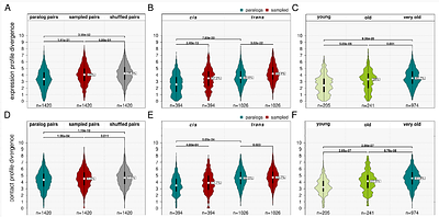 Evolution of regulatory chromatin contacts: insights from duplicated genes