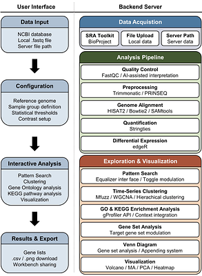 VizR: An Interactive Web Platform for End-to-End RNA-Seq Analysis and Visualization in Plant Biology