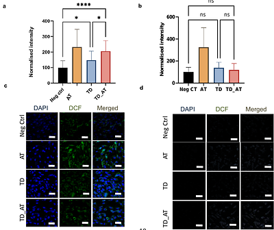 Alpha-tocopherol conjugated DNA tetrahedron with enhanced cellular uptake and selective cytotoxicity for cancer therapeutics