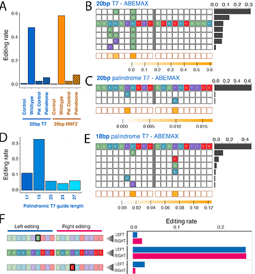 PALINCODE: Recording cell lineage with ternary palindromic CRISPR bits