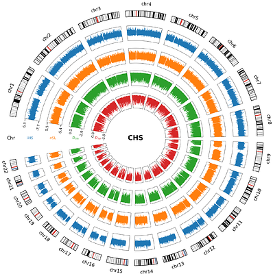 selscape: A Snakemake Workflow for Investigating Genomic Landscapes of Natural Selection