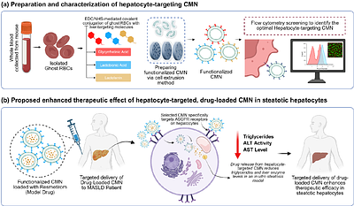 Surface Functionalized RBC Membrane-Derived Nanoparticles for Targeted Drug Delivery to Attenuate Fatty Liver Disease