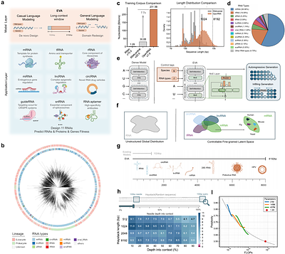 A Long-Context Generative Foundation Model Deciphers RNA Design Principles