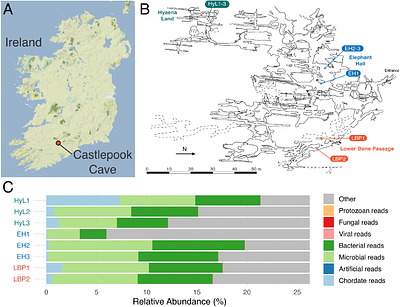 Sedimentary ancient DNA reveals Late Pleistocene faunal connectivity between Ireland and Eurasia