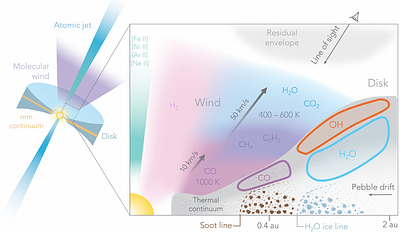 JWST/MIRI Hydrocarbon and Water Absorption in the Wind of a Young Disk: Signatures of Pebble Drift and Carbon Grain Sublimation