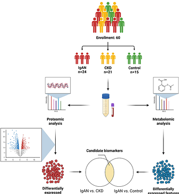 Multi-Omics Characterization of Plasma and Urine Extracellular Vesicles Identifies Non-Invasive Biomarkers for IgA Nephropathy