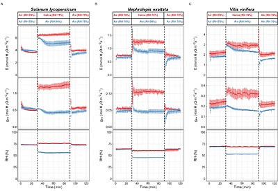 Disentangling the stomatal response to transpiration and relative humidity