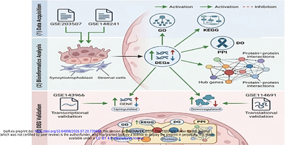 Integrated Bioinformatics Analysis Reveals Candidate Hub Genes and Regulatory Networks Associated with Preeclampsia