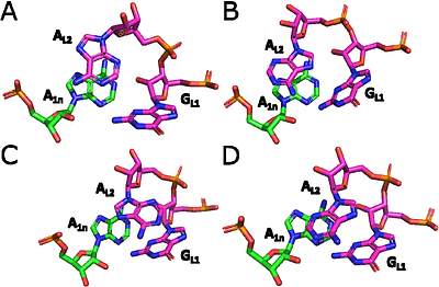 The Kink-Turn Motif: A Powerful Test for Revealing Weaknesses in RNA Force Fields